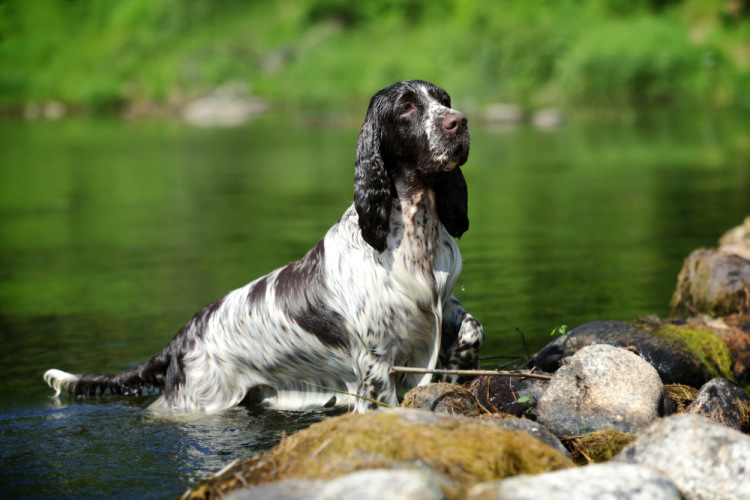 194947-50f3e-87960554-m750x740-ua090d.jp