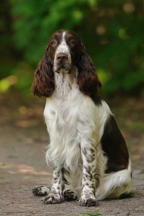 194947-b6875-87197724-m750x740-u206a8.jp